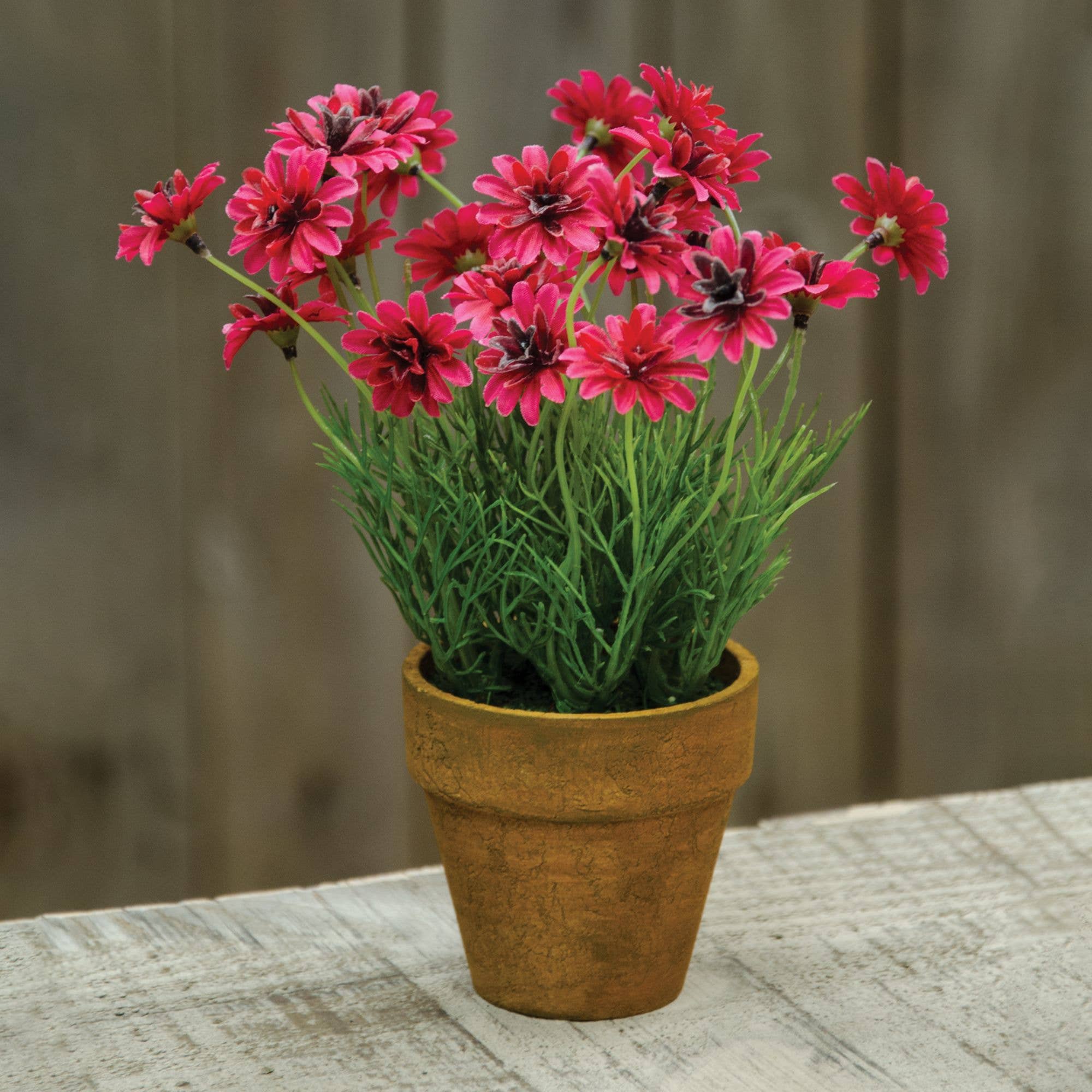 Saybrook Lane - Wholesale Artificial Flowers - Potted Star Daisy Pink1