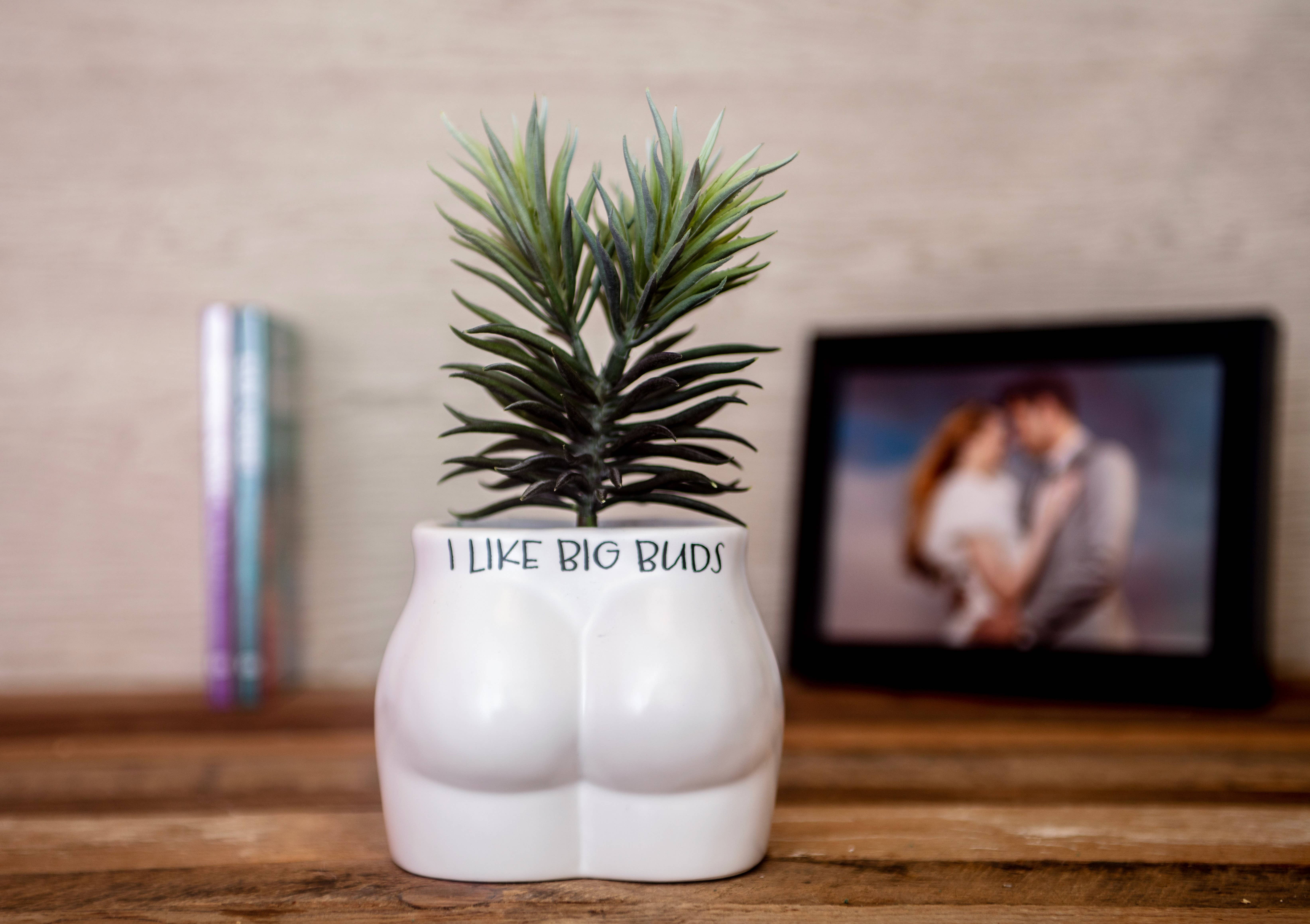 Boxer Gifts - Wholesale Plant Pot - I Like Big Buds Put Some Plants On - Novelty Indoor Planter2