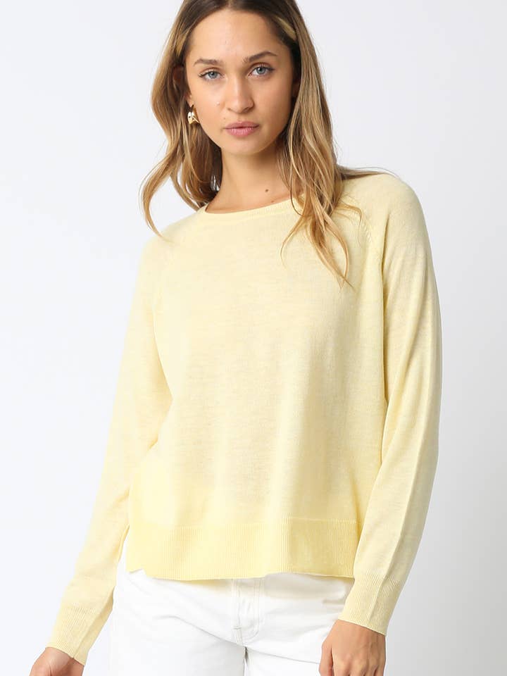 Natalie Basis Sweatshirt for engroshandel hos Olivaceous