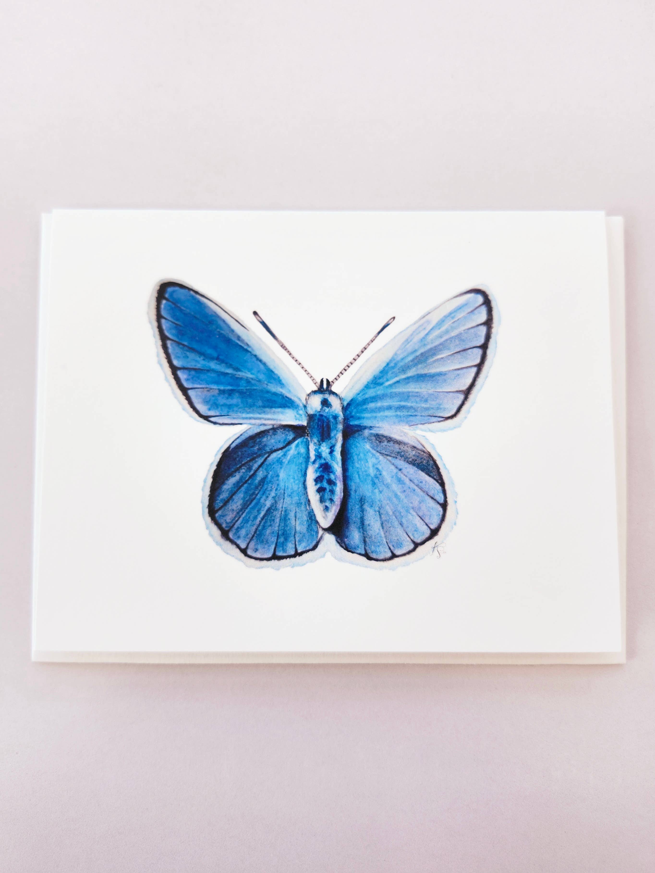 Redbriar Studio - Wholesale Stationery/Notecard Set - Notecards30