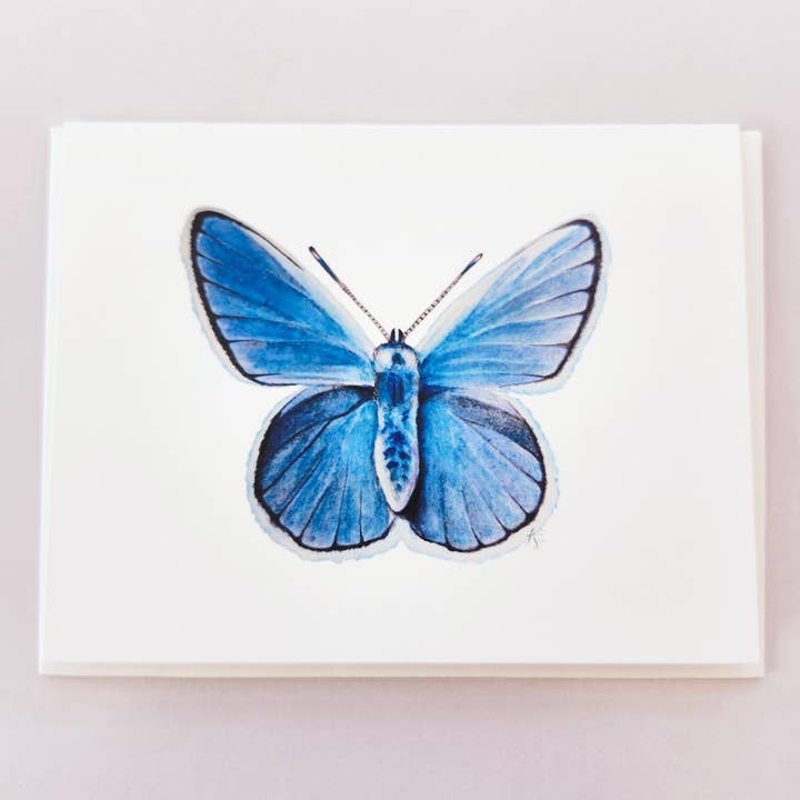 Redbriar Studio - Wholesale Stationery/Notecard Set - Notecards30