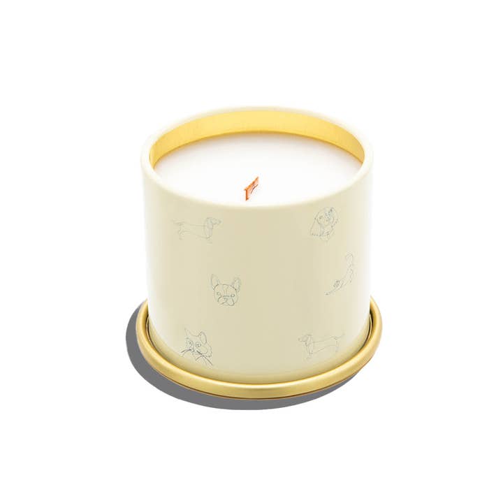 Companion Candles - Wholesale Travel Candles - The Best Seller Bundle