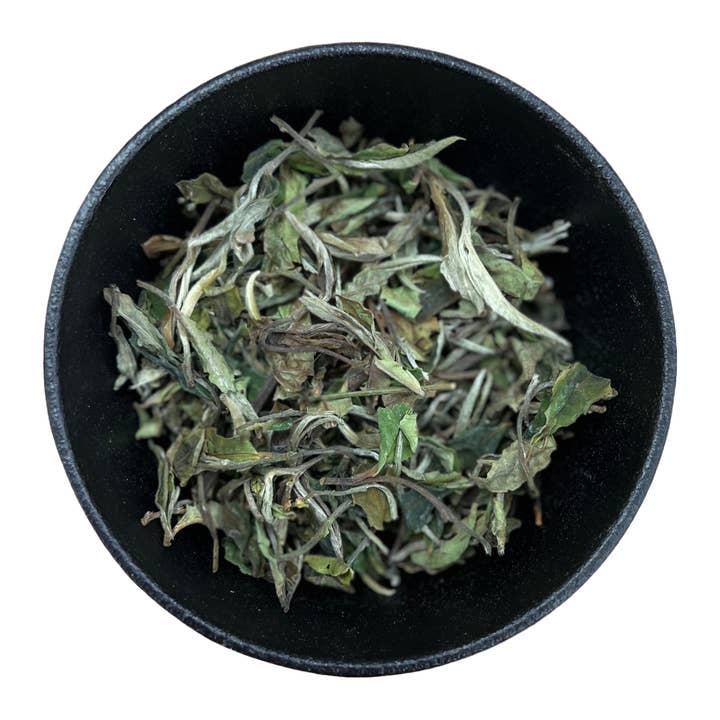 LA Herb - Wholesale Loose Tea - Bai Mu Dan White Tea (Camellia Sinensis)2