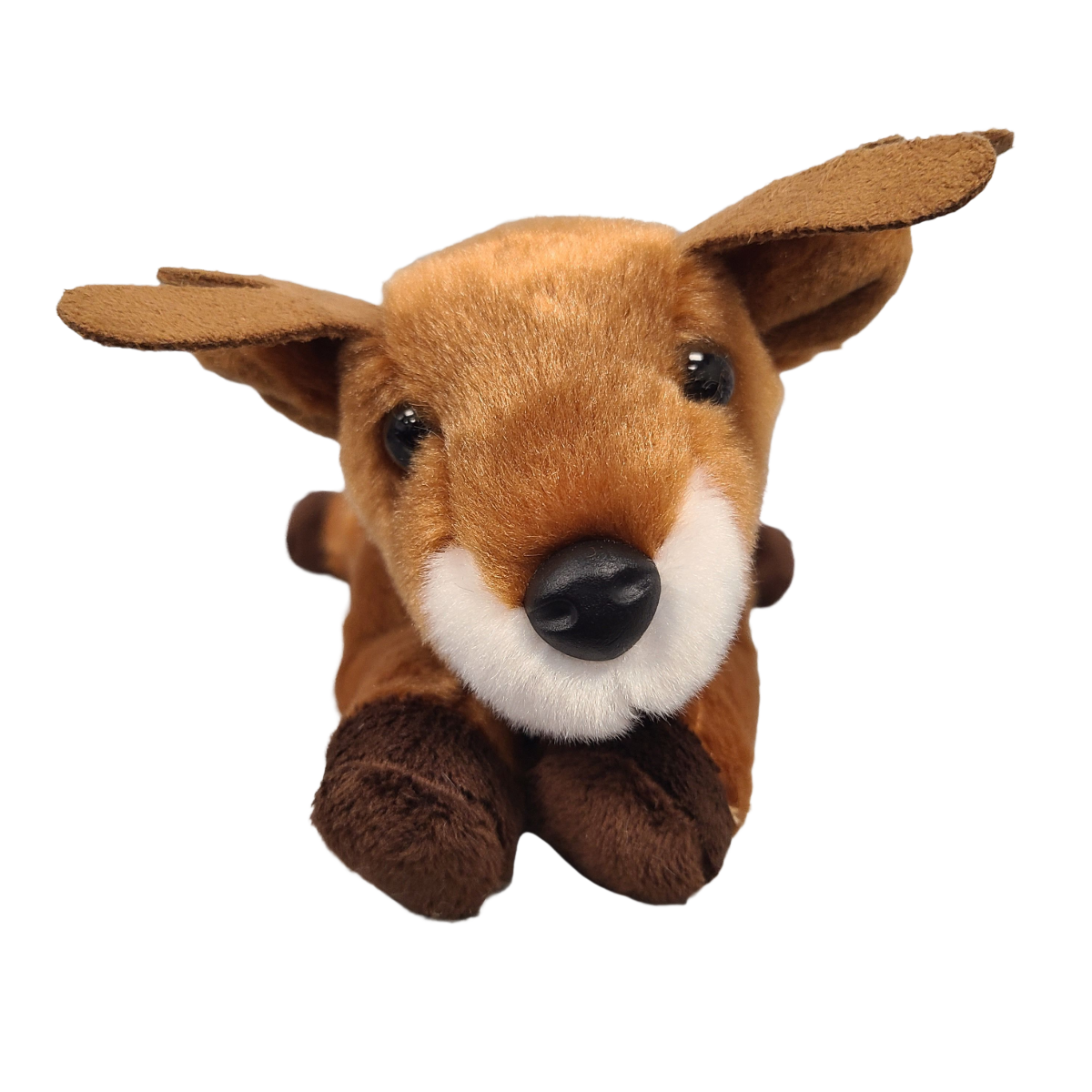 Canned Gifts – Großhandel Kuschel-/Plüschtier – Kind & Baby – Eingemachtes Reh | Tier-Plüsch mit Witzen | Einzigartiges Jagdgeschenk5
