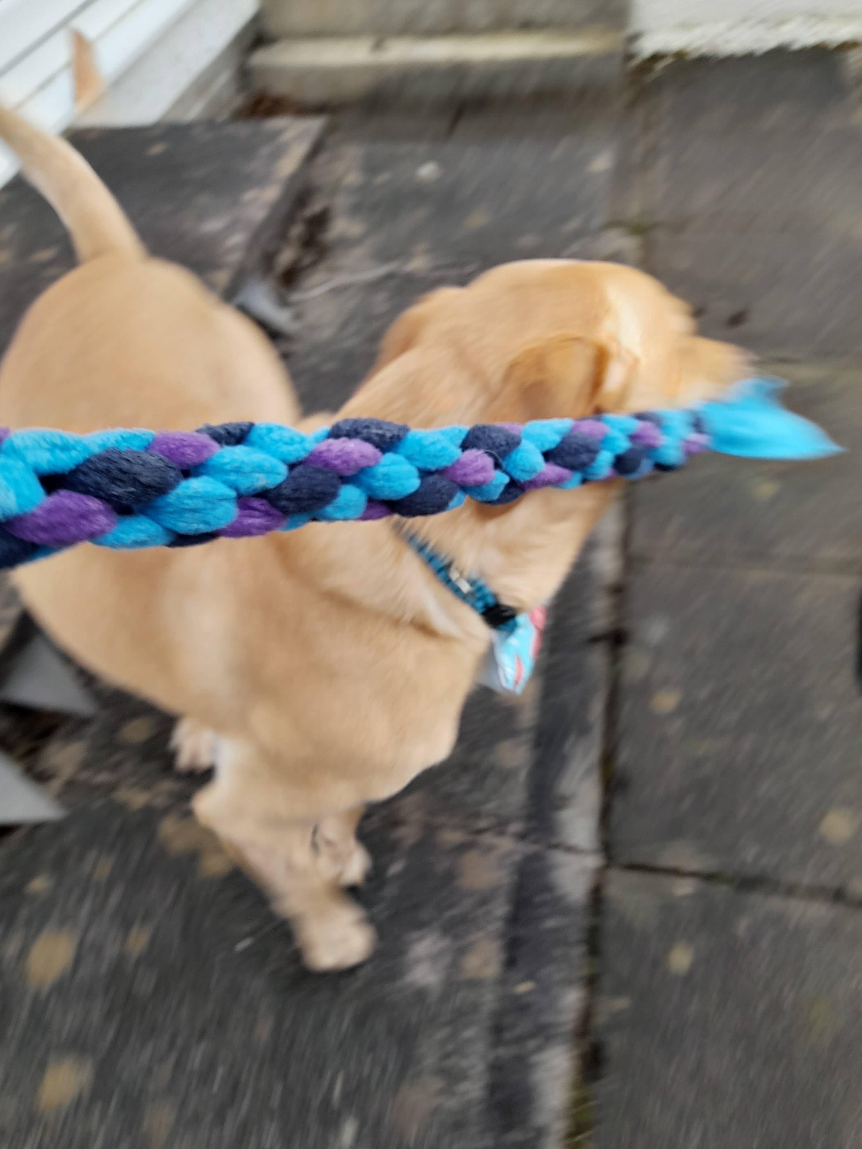 Thirty9Design – wholesale Pet rope toy – Dog – Dog tug toys4