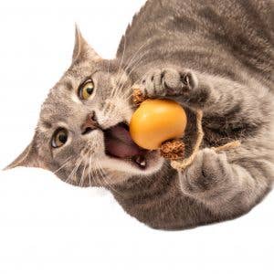 Natural Cat Toy - Wholesale Pet Toy - Cat - Rotary Kalabash Ball2
