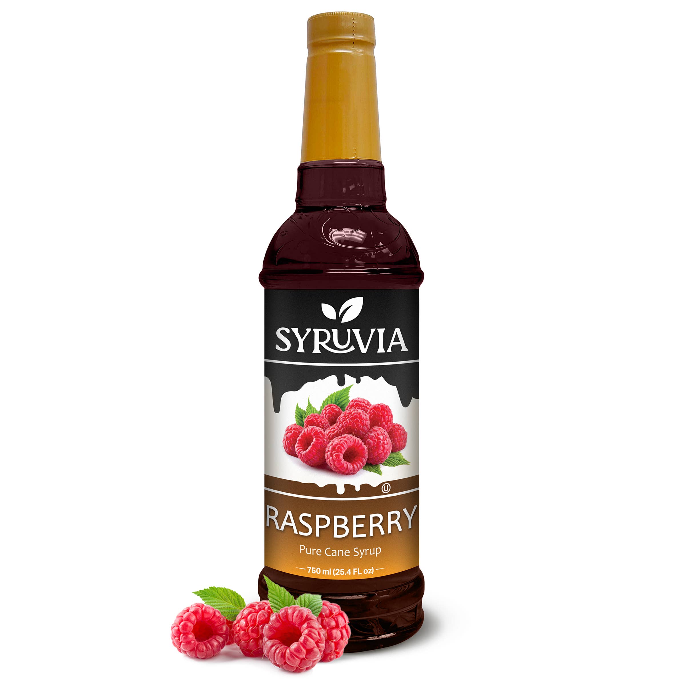 Syruvia - Wholesale Flavored Syrup - Raspberry Syrup0