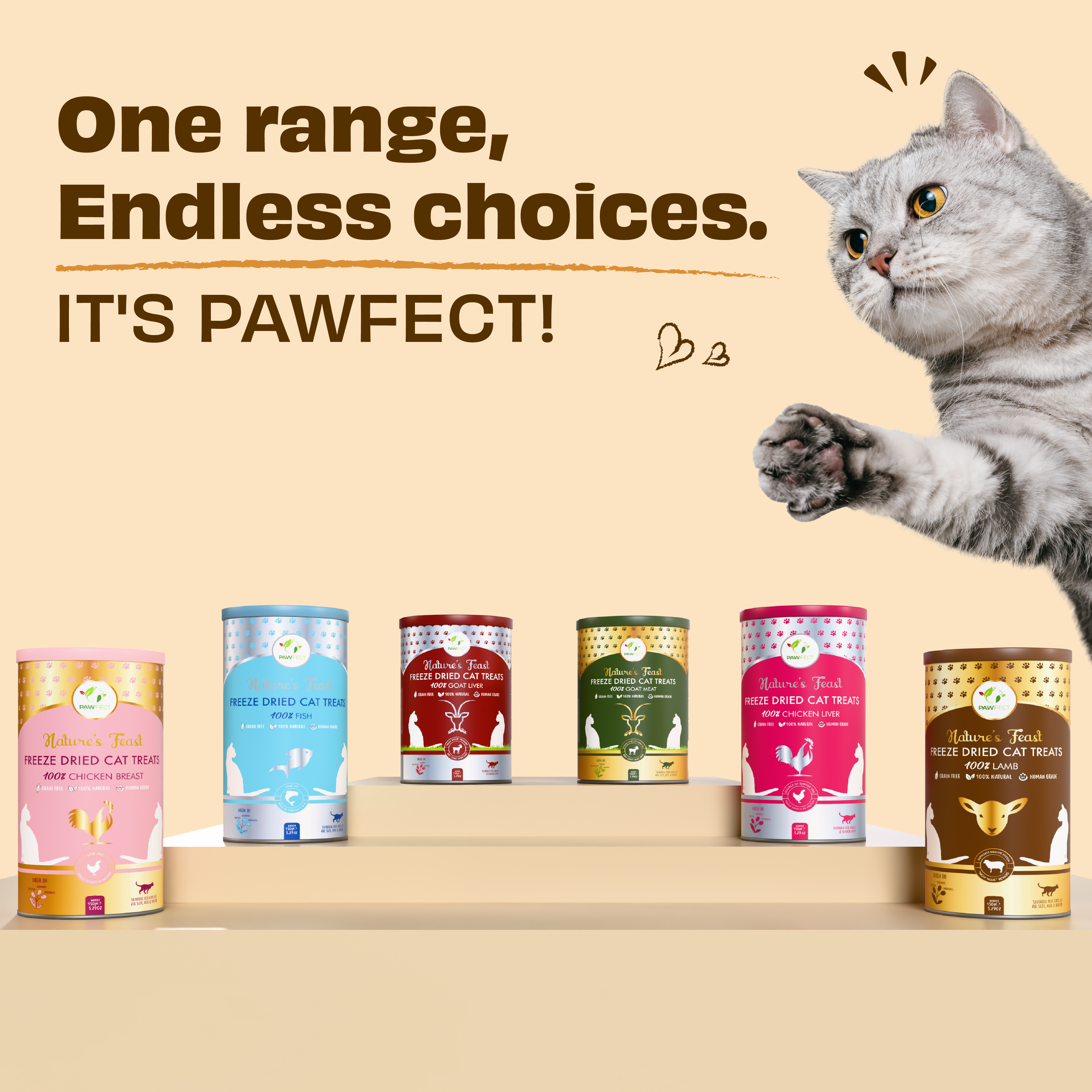 Pawfect Pet Foods Pvt Ltd - USA - Wholesale Pet Treats - Cat - Pawfect Nature's Feast Freeze-Dried Lamb Meat Treats for Cats| 100% Natural| Hypoallergenic| Easily Digestible| Grain-Free| Training Treat| High Protein| Low Fat| Single Ingredient treats(150g/5.29oz)5