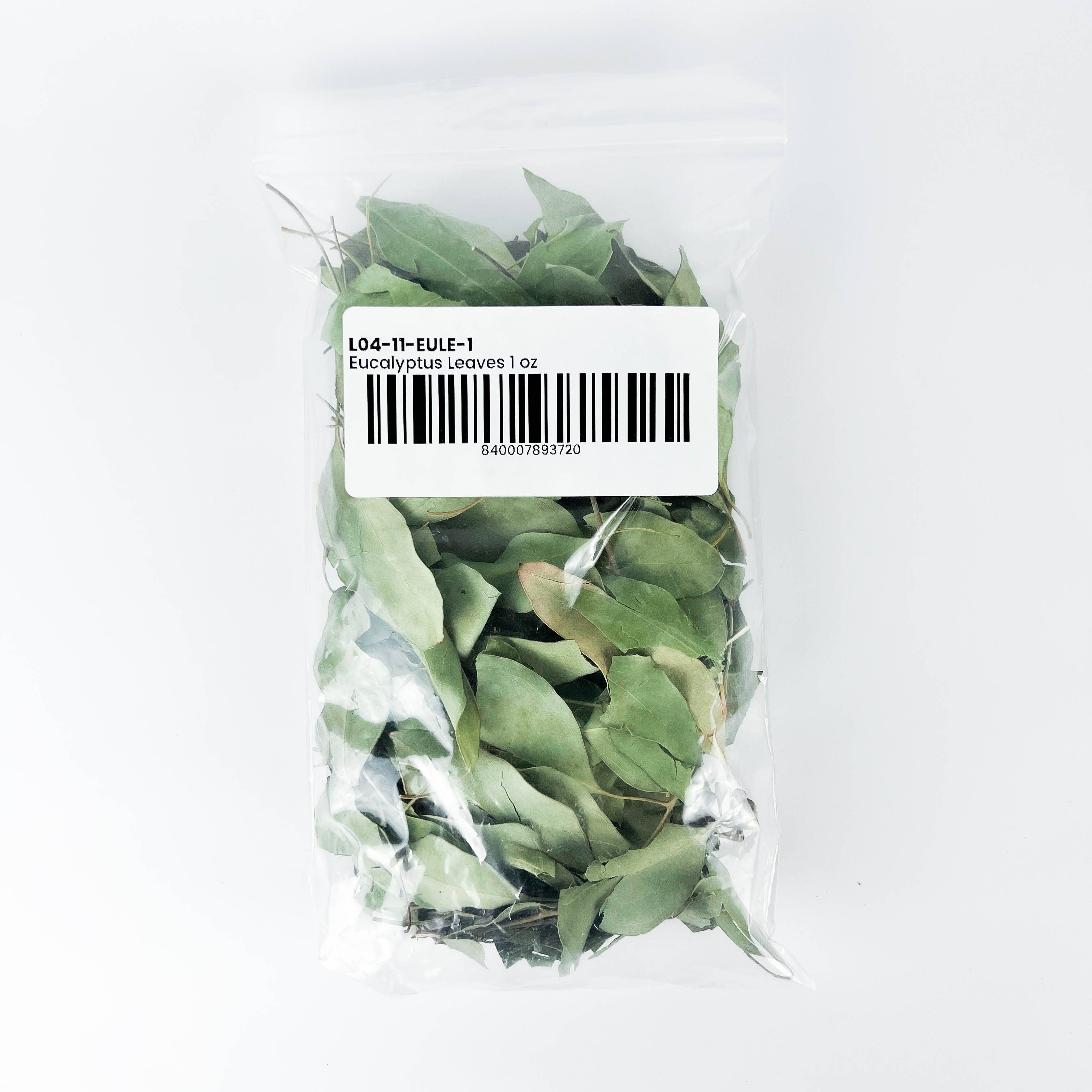 GREENROOTS USA LLC – Engroshandel Krydderurter – Eukalyptusblade 1 oz1