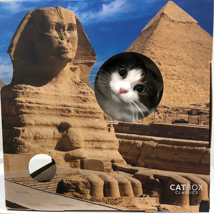 Cat Box Classics - Vendita all'ingrosso Tiragraffi - Gatti - Cuccia in cartone con tiragraffi Whiskers of the World