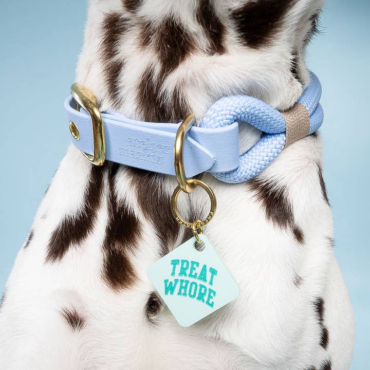 Freshwater Curated Goods - Vendita all'ingrosso Etichetta per collare - Cani e gatti - Medaglietta per animali domestici Treat Whore1