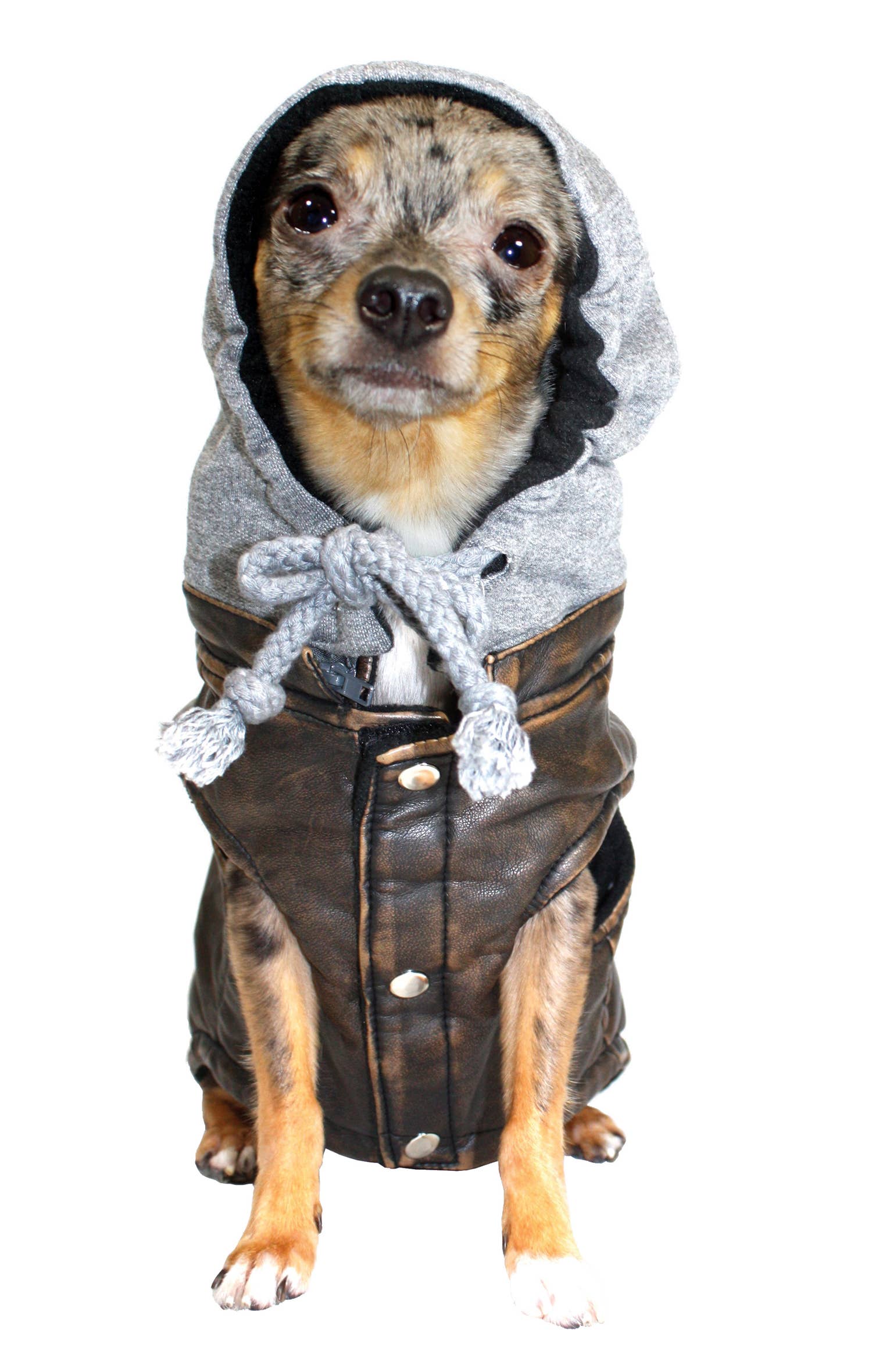 Barker's Bowtique - Wholesale Pet Coat - Dog - Hip Doggie -  Vintage Bomber Jacket2