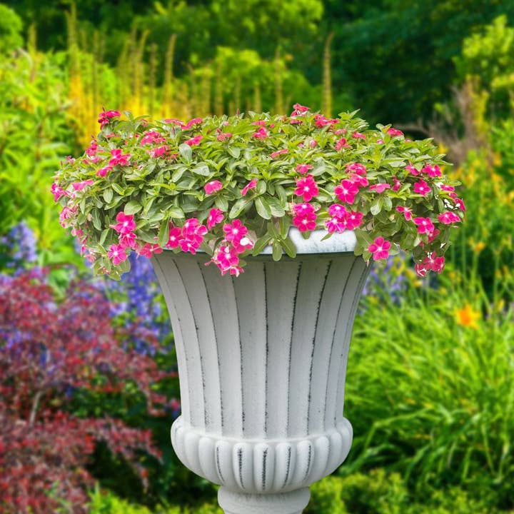 Austram Home & Garden - Wholesale Urn - Andros Urn (16" x 10" x 21")2