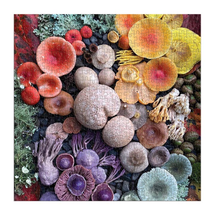 Chronicle Books - Wholesale Puzzle - Adult - Shrooms in Bloom 500 Piece Puzzle