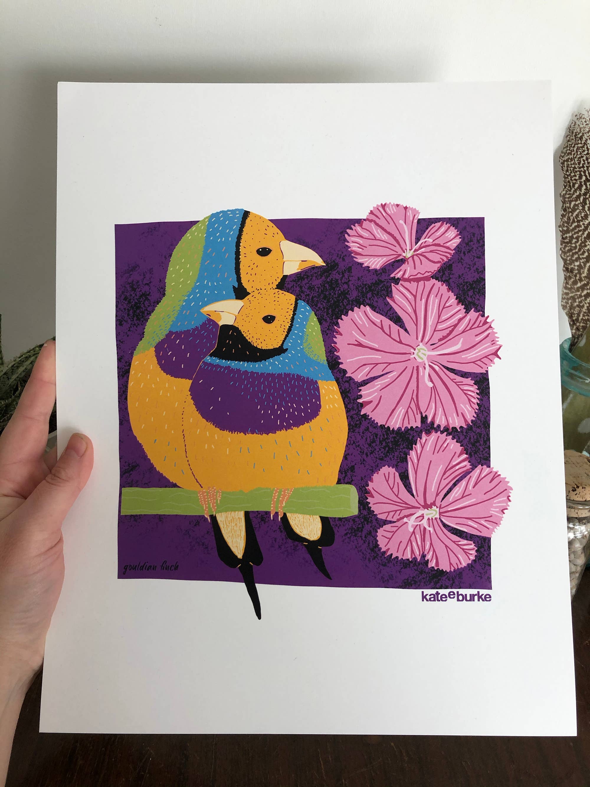 Kate E. Burke - Wholesale Art Print - Bird Series: Gouldian Finch 11x14 Digital Print2