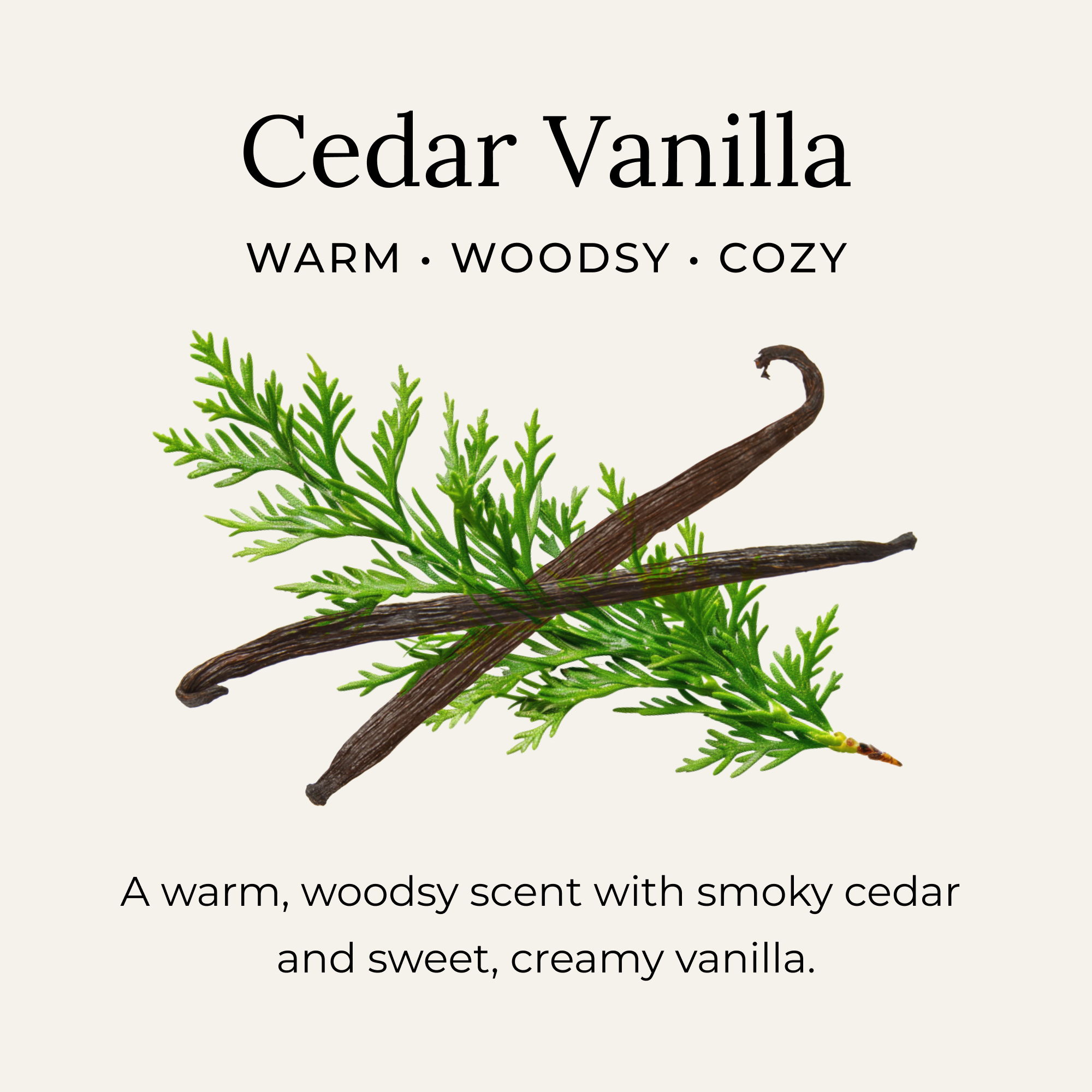 Little Seed Farm - Wholesale Deodorant - Women's - Cedar Vanilla Deodorant Cream1