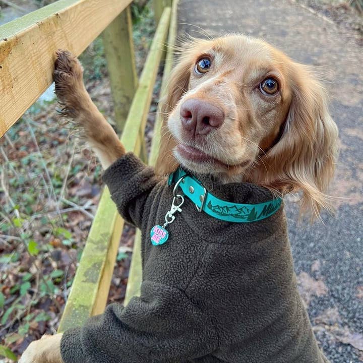 Vattentålig hundfleece i khakigrön för wholesale av Bella Katee Pets