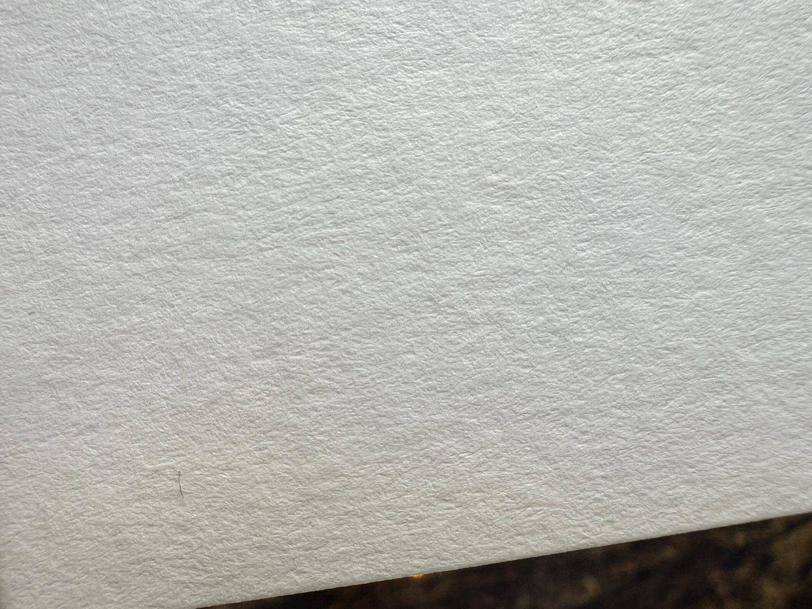 Georgina Doodles - Wholesale Everyday Greeting Card - Nuthatch Greetings Card | Blank card, Bird Art, Watercolour print2