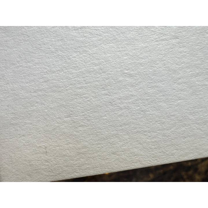 Georgina Doodles - Wholesale Everyday Greeting Card - Nuthatch Greetings Card | Blank card, Bird Art, Watercolour print2