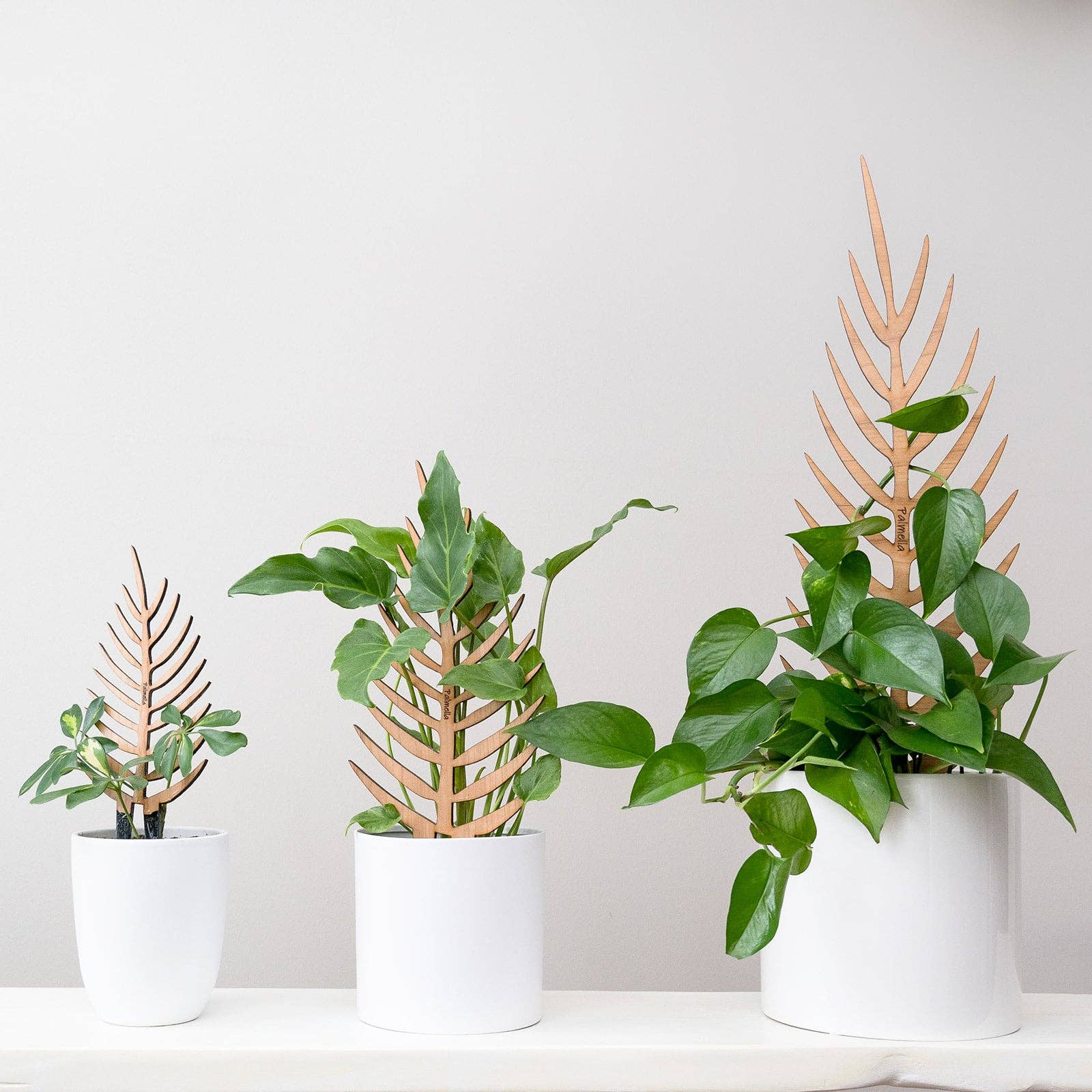 Treleaf – Engroshandel Spalier – Palmella - træspalier formet som blad til stueplanter9