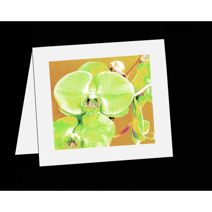 Green Orchid on Rust BKGD for wholesale by Line Five Studio