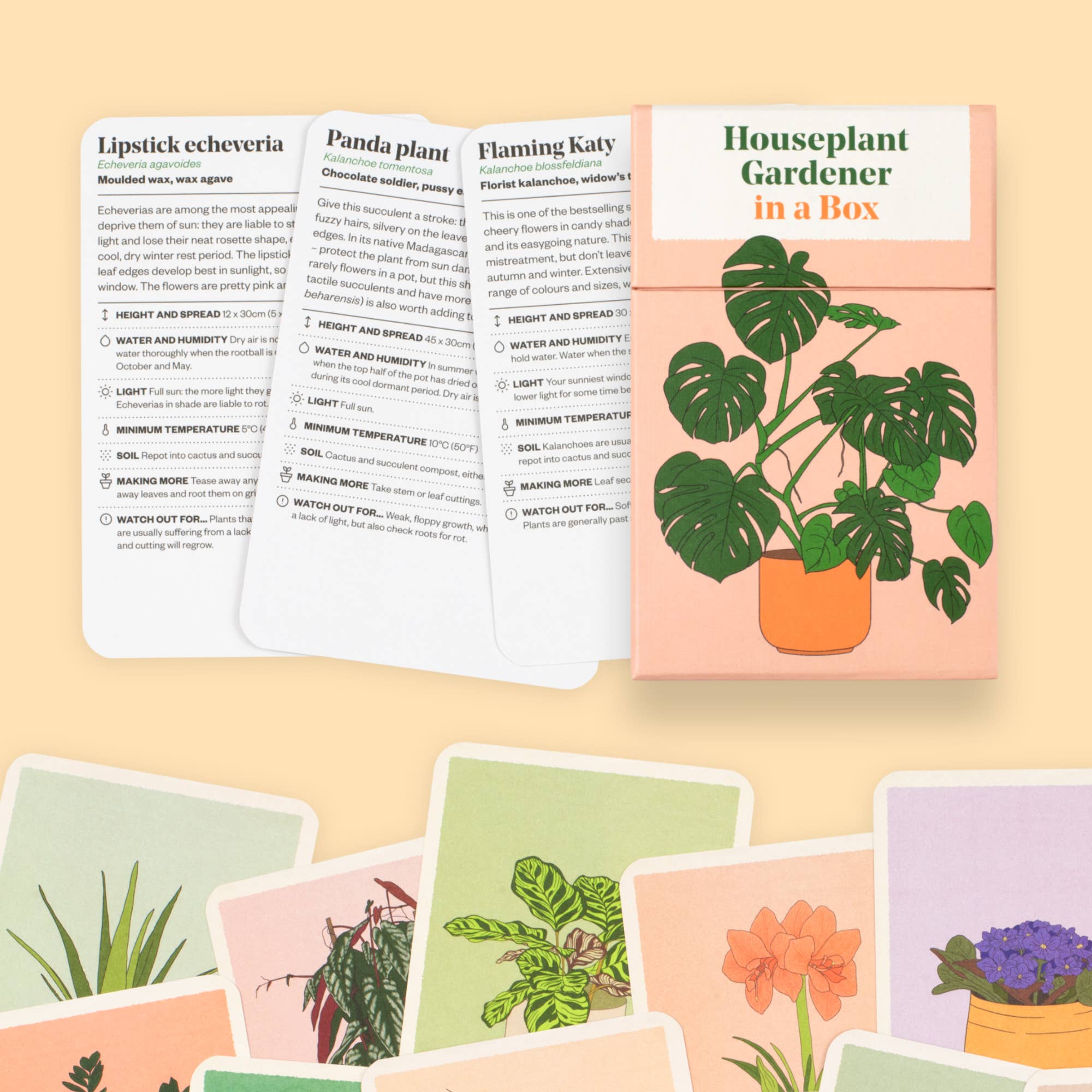 Abrams - Vente Maison et jardin - Jardinier pour plantes d'intérieur dans une boîte2