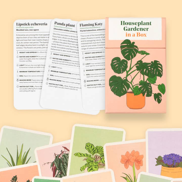 Abrams - Vente Maison et jardin - Jardinier pour plantes d'intérieur dans une boîte2