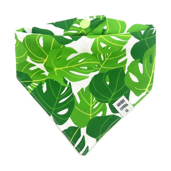 Monstera Bandana pour chien pour la vente par Winthrop Clothing Co.