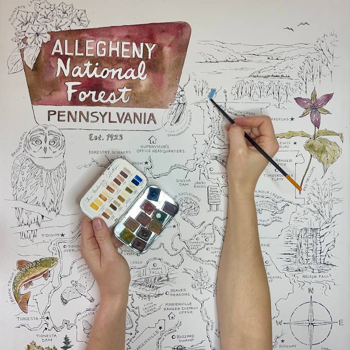 Rosalie Haizlett Illustration – wholesale Map – Allegheny National Forest Illustrated Map2