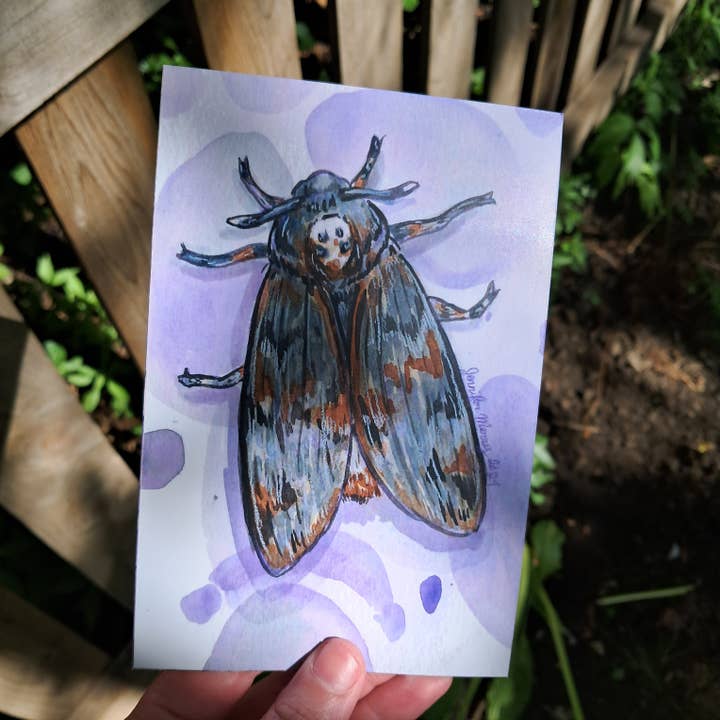 Small Deathhead Moth Print for wholesale by Haunted Amusement Park