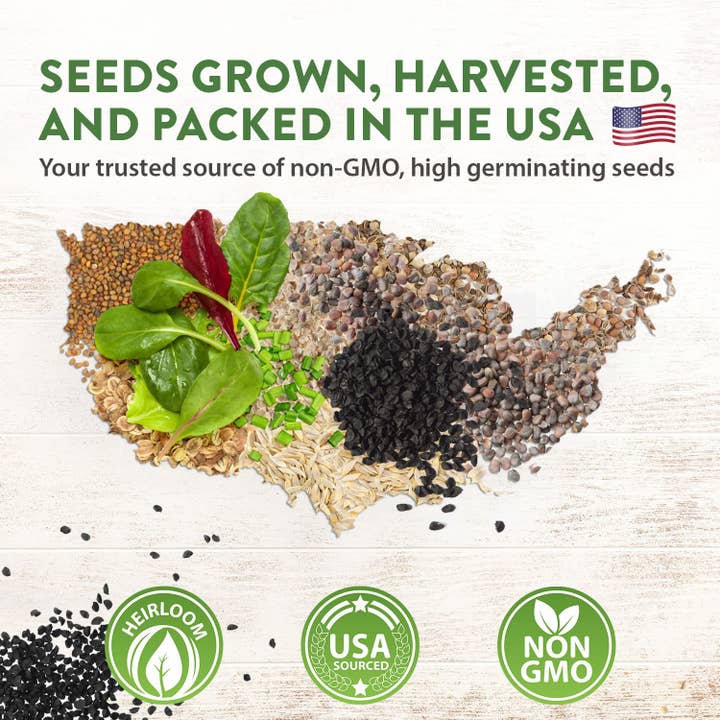 Homegrown Garden - Wholesale Plant Seeds - 55 Heirloom Vegetable Seeds - 27,500+ Non GMO Seeds6