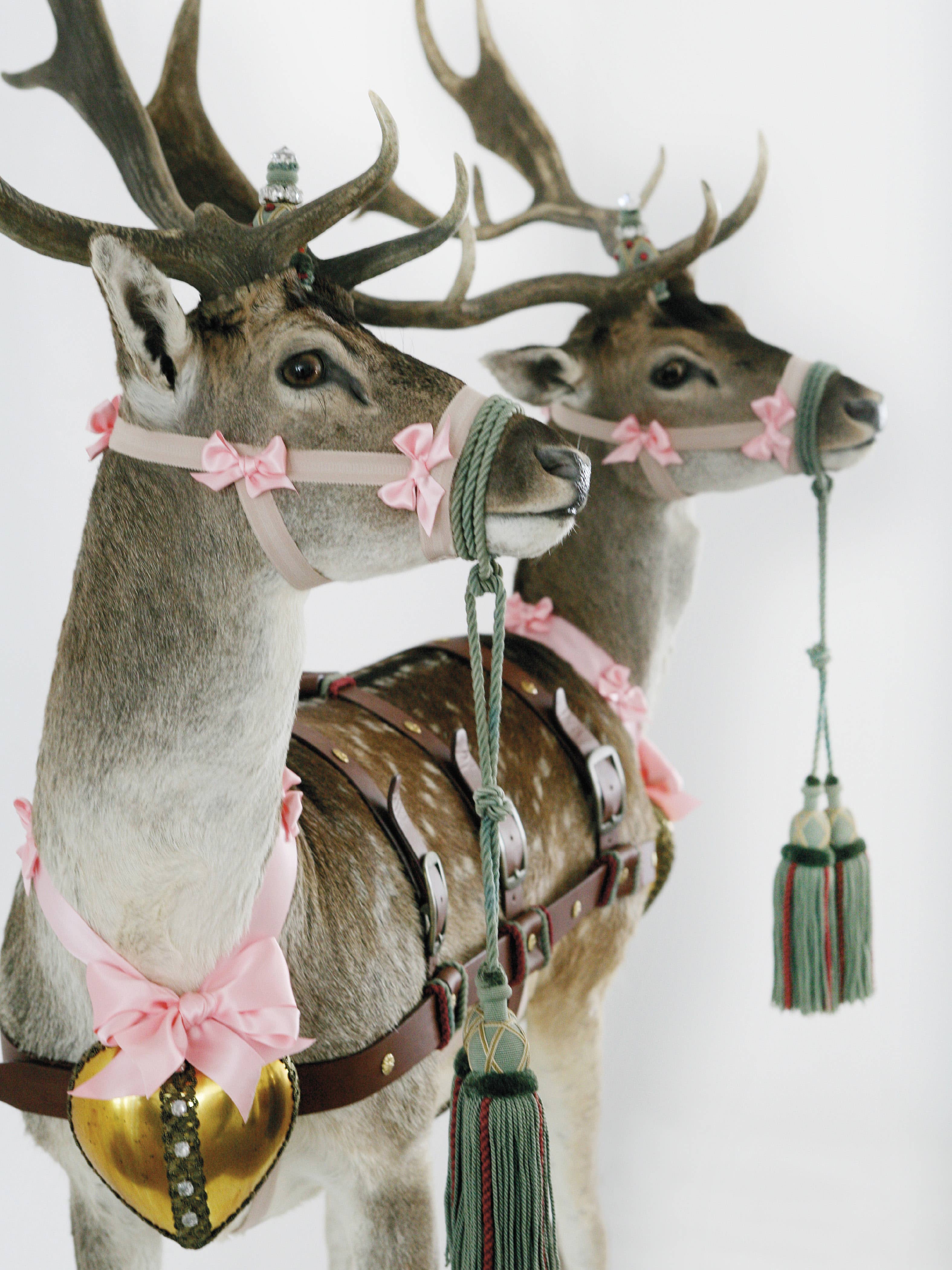 Schiffer Publishing - Wholesale Crafts, Hobbies & DIY - Humor in Craft2