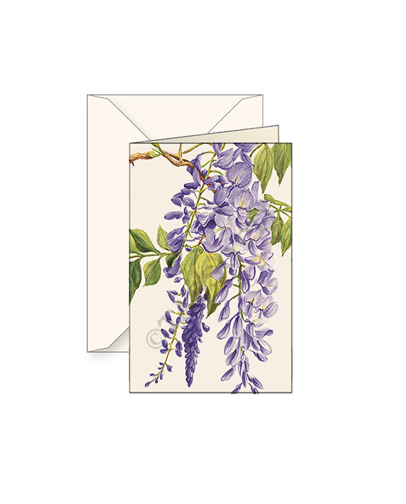 Freund Mayer & Co. – wholesale Anteckningsbok – Presentförpackningskort med kuvert 3x4"-Multi mönster0