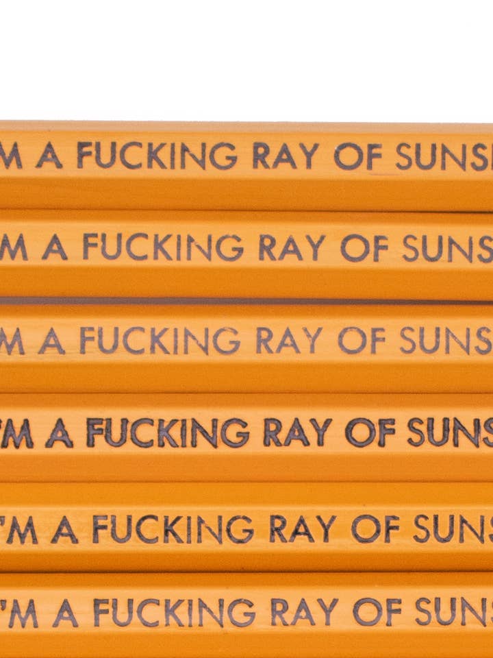 Set di matite I'm A Fucking Ray Of Sunshine per la vendita all'ingrosso da parte di Tiramisu Paperie