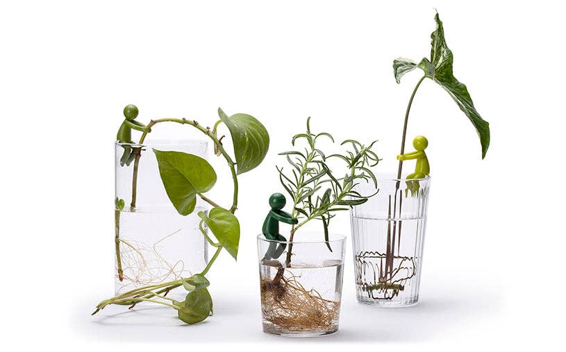 Peleg Design - Wholesale Plant Pot - Leafriend - Plant Propagation Buddy