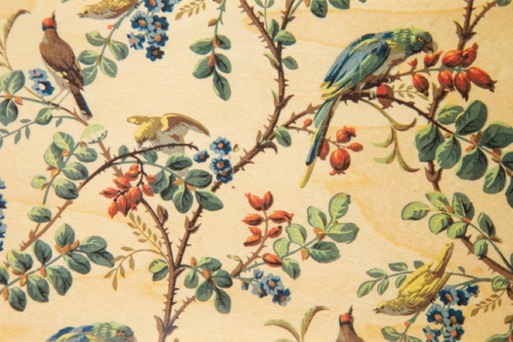 Woodhi - Wholesale Postcard - Wood Postcard BNF Papiers Peints Perroquet0