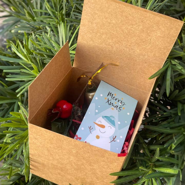 Plantish - Wholesale Gift Tag Label - Frosty Blue Christmas Tag, Sticker | Christmas Card & Label5