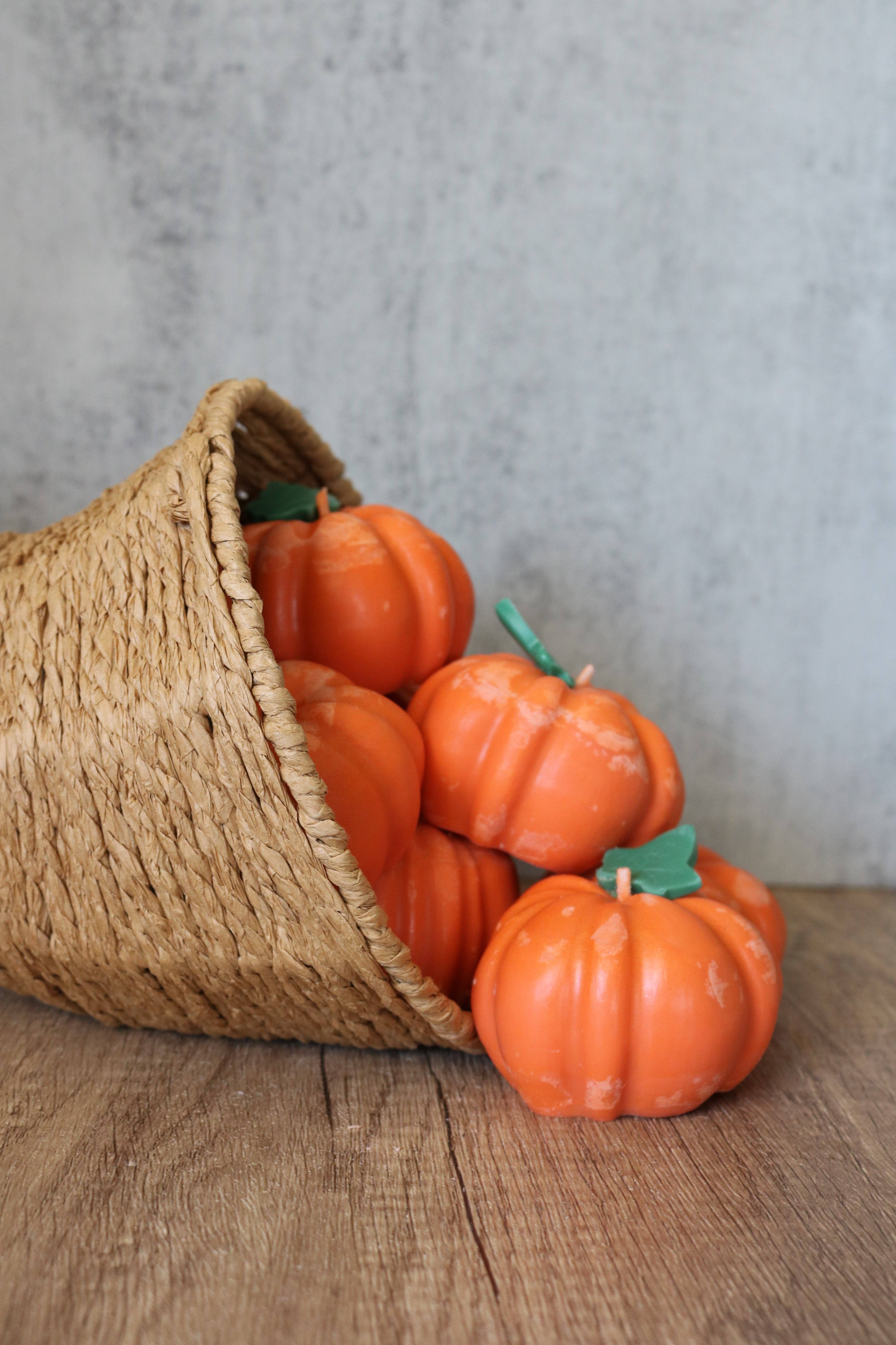 Bea’s Wax - Wholesale Novelty Candle - Pumpkin Patch2