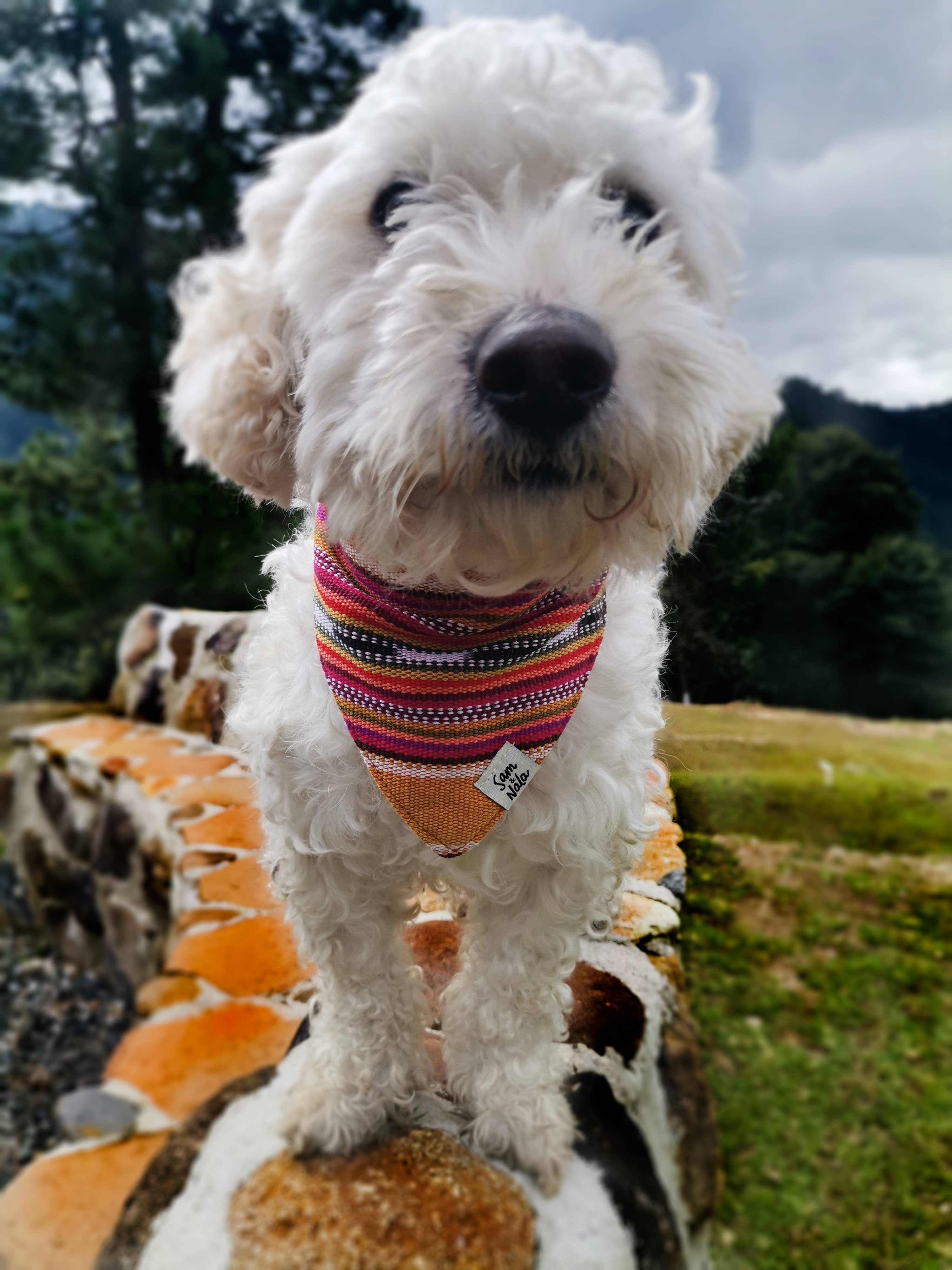 Sam & Nala | intentional style for pets & their people - Wholesale Pet Bandana - Dog - Summer Hat Dog  Bandana Dog- Fair Trade + artisan made4