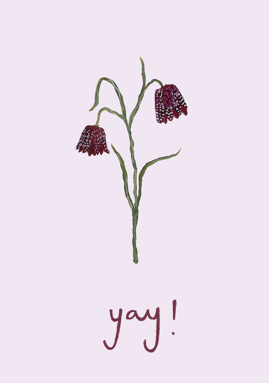 Harriet Watson – wholesale Everyday greeting card – Yay! mini card 3