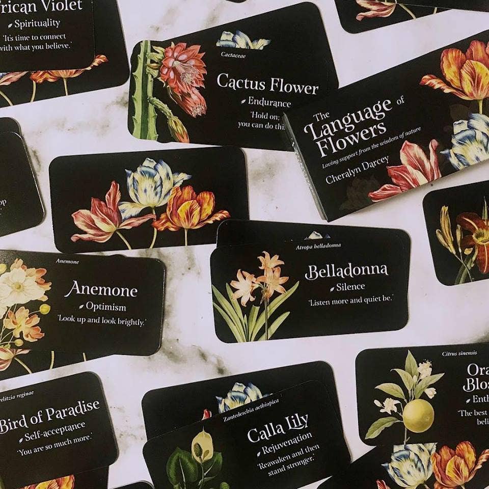 ROCKPOOL PUBLISHING - Wholesale Stationery/notecard set - The Language of Flowers: Mini Inspiration Cards2