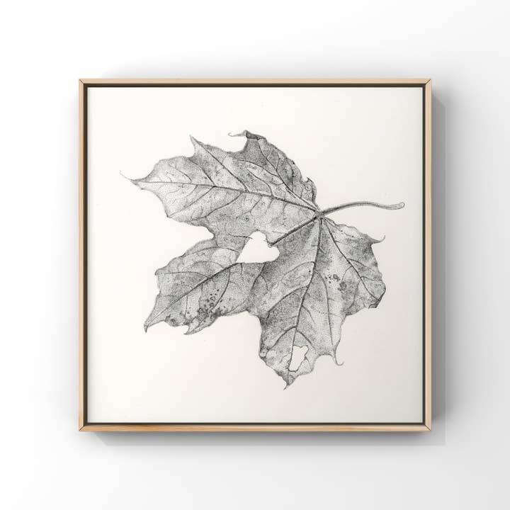 Parfaitement imparfait pour la vente par Lisa Mitchell Art