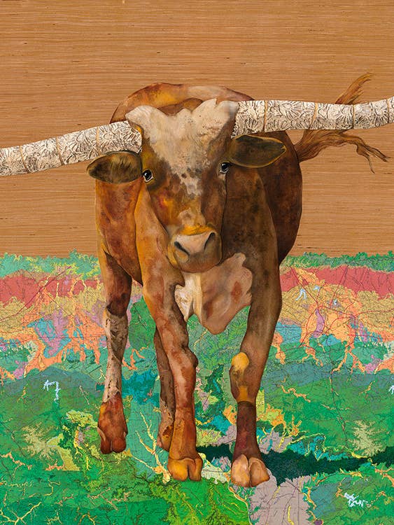 Longhorn con cornice in acrilico per la vendita all'ingrosso da parte di Brenda Bogart