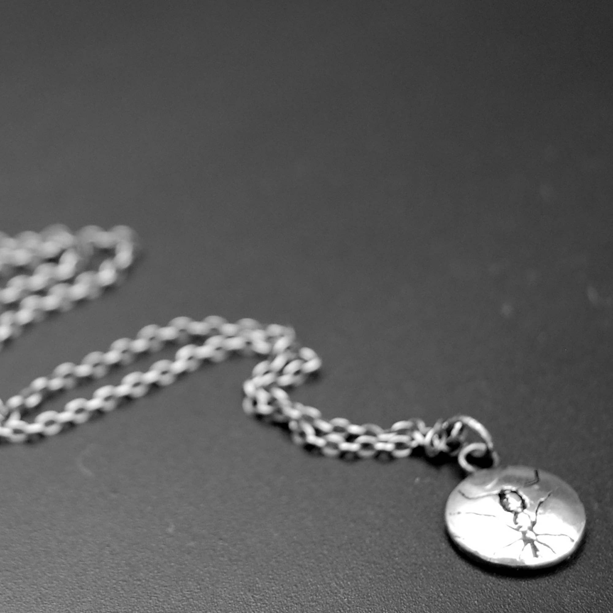 Metal Cloth & Wood – wholesale Pendant/charm necklace – Sterling Silver Ant Necklace – Handmade Insect Jewelry for Nature Lovers, Entomologists & Science Teachers3