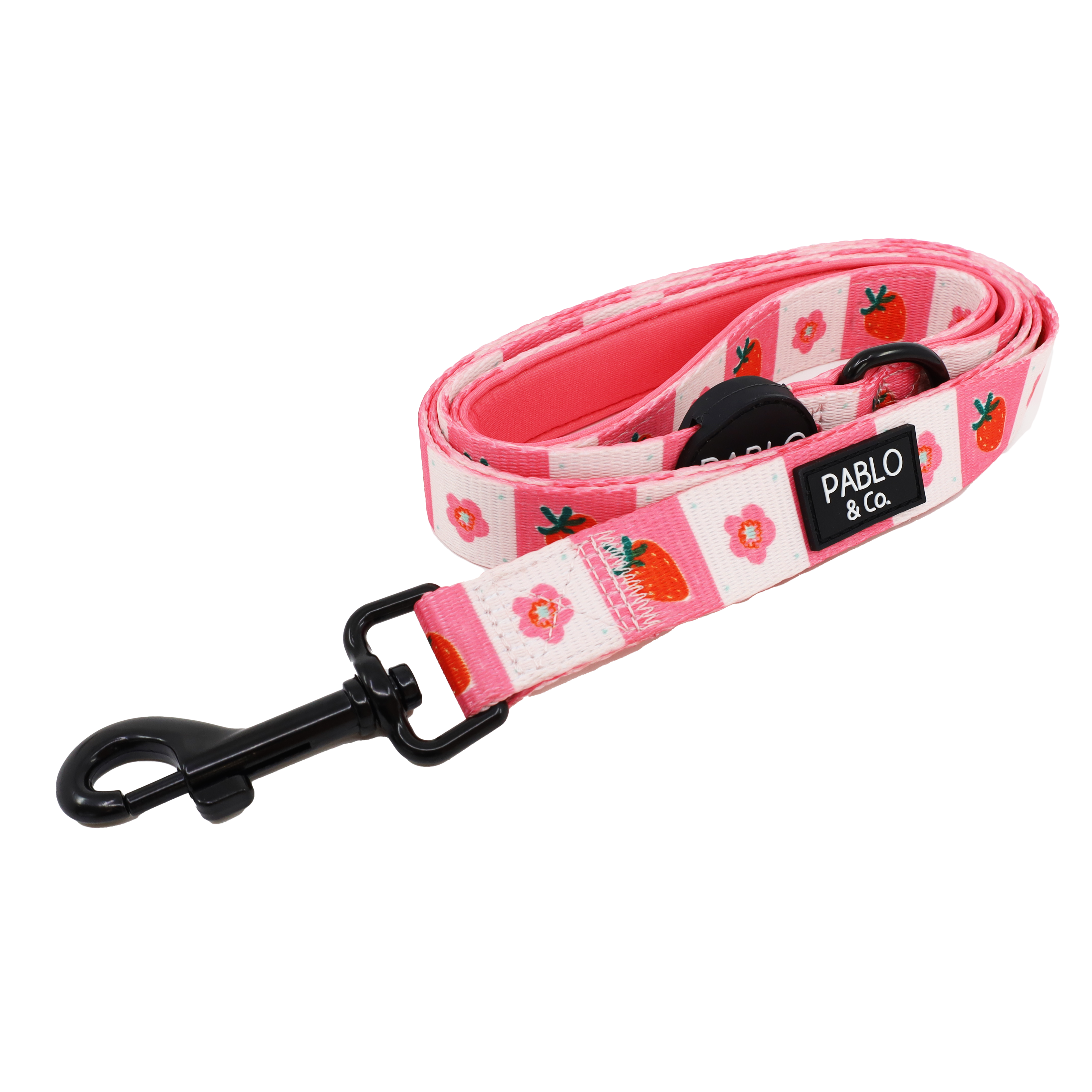 Pablo & Co. Boutique - Wholesale Pet leash – Dog - Strawberry Patch: Dog Leash0