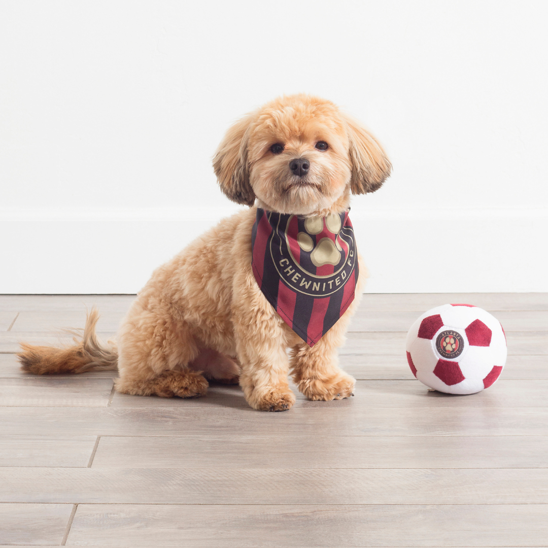 Floofball - Vendita all'ingrosso Peluche - Cani - Pallone da calcio in peluche per cani Atlanta Chewnited7