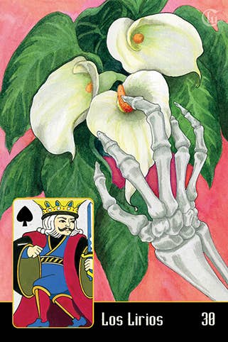 REDFeather - Wholesale Tarot Cards - La Santa Muerte Lenormand3