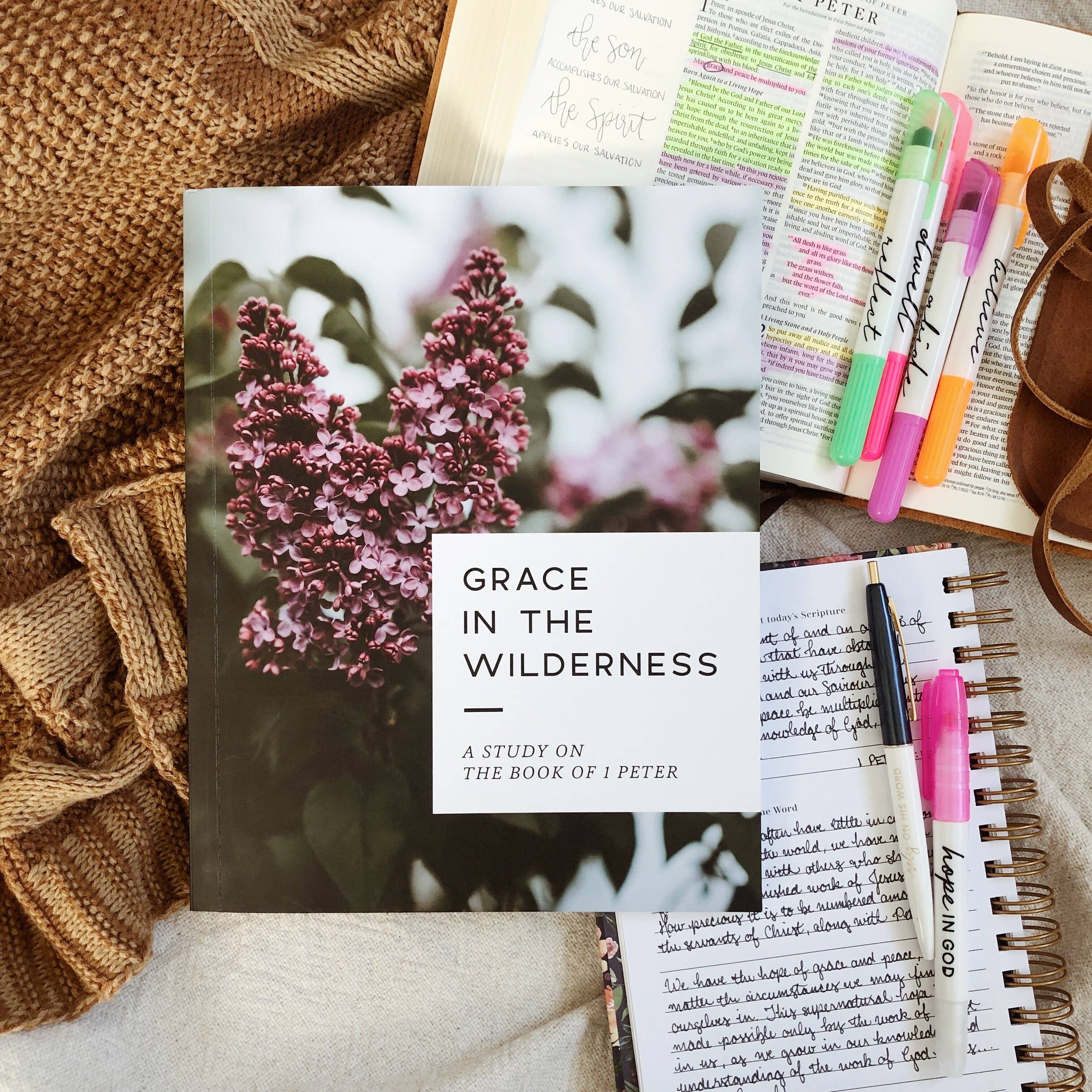 The Daily Grace Co - Wholesale Religion - Grace in the Wilderness | Study on 1 Peter17
