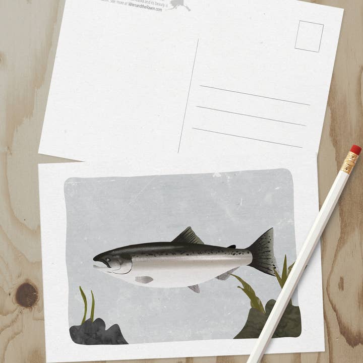 Wren and the Raven - Wholesale Postcard - Alaska Wildlife Series Postcards6