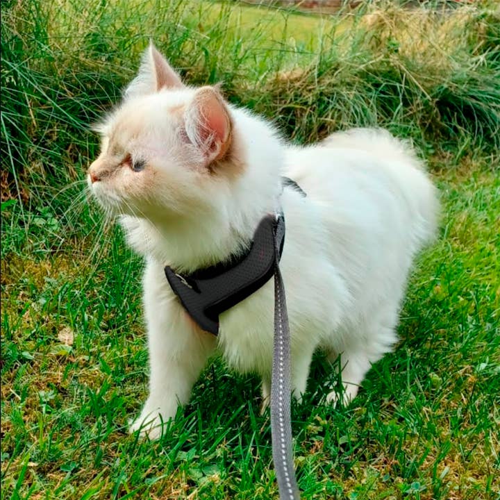 FINNERO - Wholesale Pet Harness - Dog - FINNERO LIGHT Reflective Harness For Pets, 4 Colors13